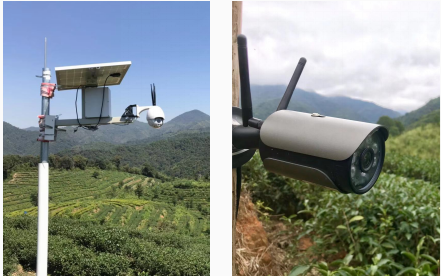 1616728168890480.png image.png