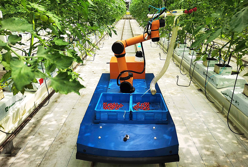 番茄粒采機(jī)器人.jpg