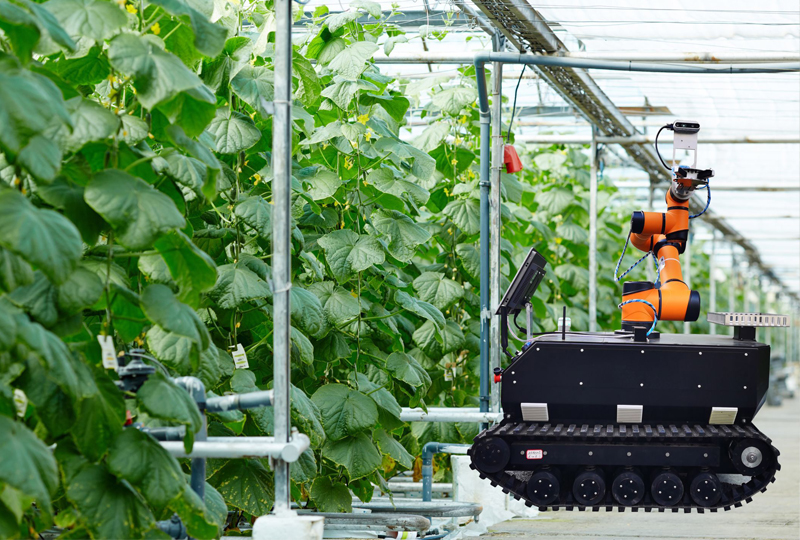 履帶采摘機器人.jpg